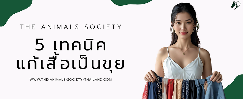 แก้เสื้อเป็นขุย