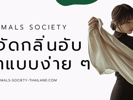 4 วิธีกำจัดกลิ่นอับเสื้อผ้าแบบง่าย ๆ ให้กลับมาหอมสดชื่นอีกครั้ง