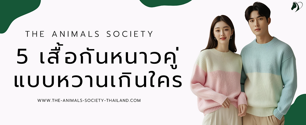 เสื้อกันหนาวคู่