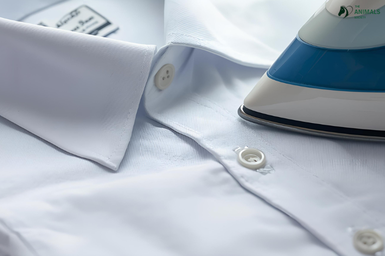 แก้ผ้าเป็นรอยเตารีด