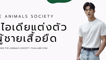 แต่งตัวผู้ชายเสื้อยืด