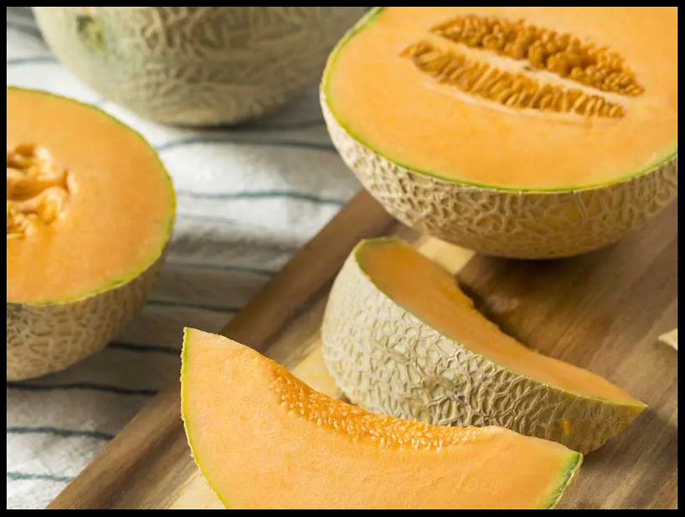Rockmelon - Planters Jumbo seeds