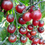 Thumbnail: Tomato Black Cherry seeds