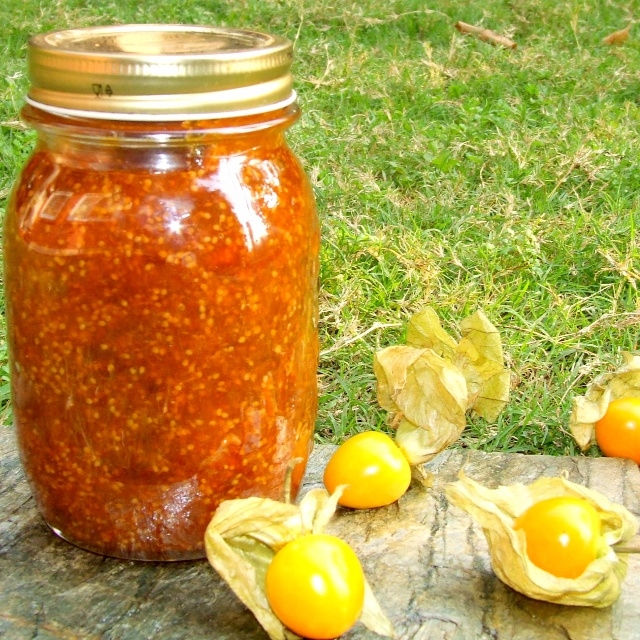 Growing Cape Gooseberry (Physalis Peruviana)