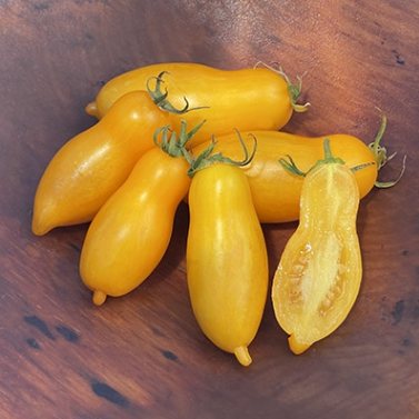 Thumbnail: Tomato - Banana Legs (Organic)