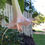 Thumbnail: Brugmansia Tremble