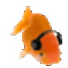 fish-groove.gif