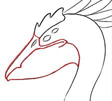 pelican.png