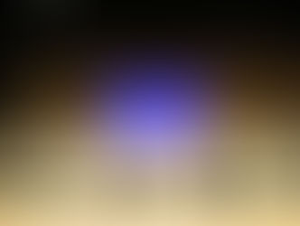 発表会に向けてのミーティング