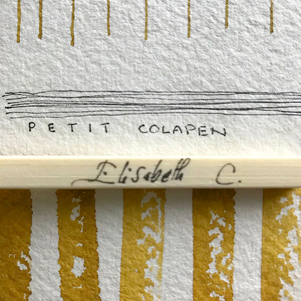 Thumbnail: Le petit colapen d' Elisabeth Couloigner