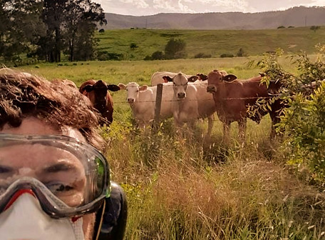 Daniel mowing cows supervising_edited.jpg