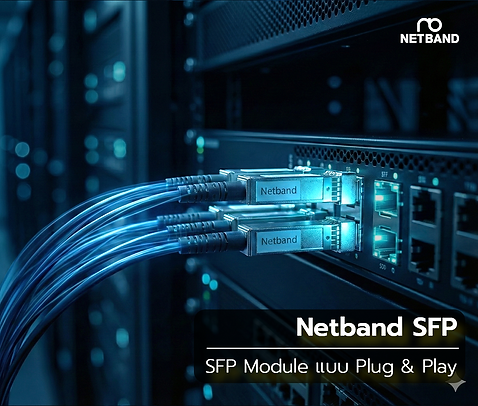 Netband SFP module แบบ Plug&Play Newvers