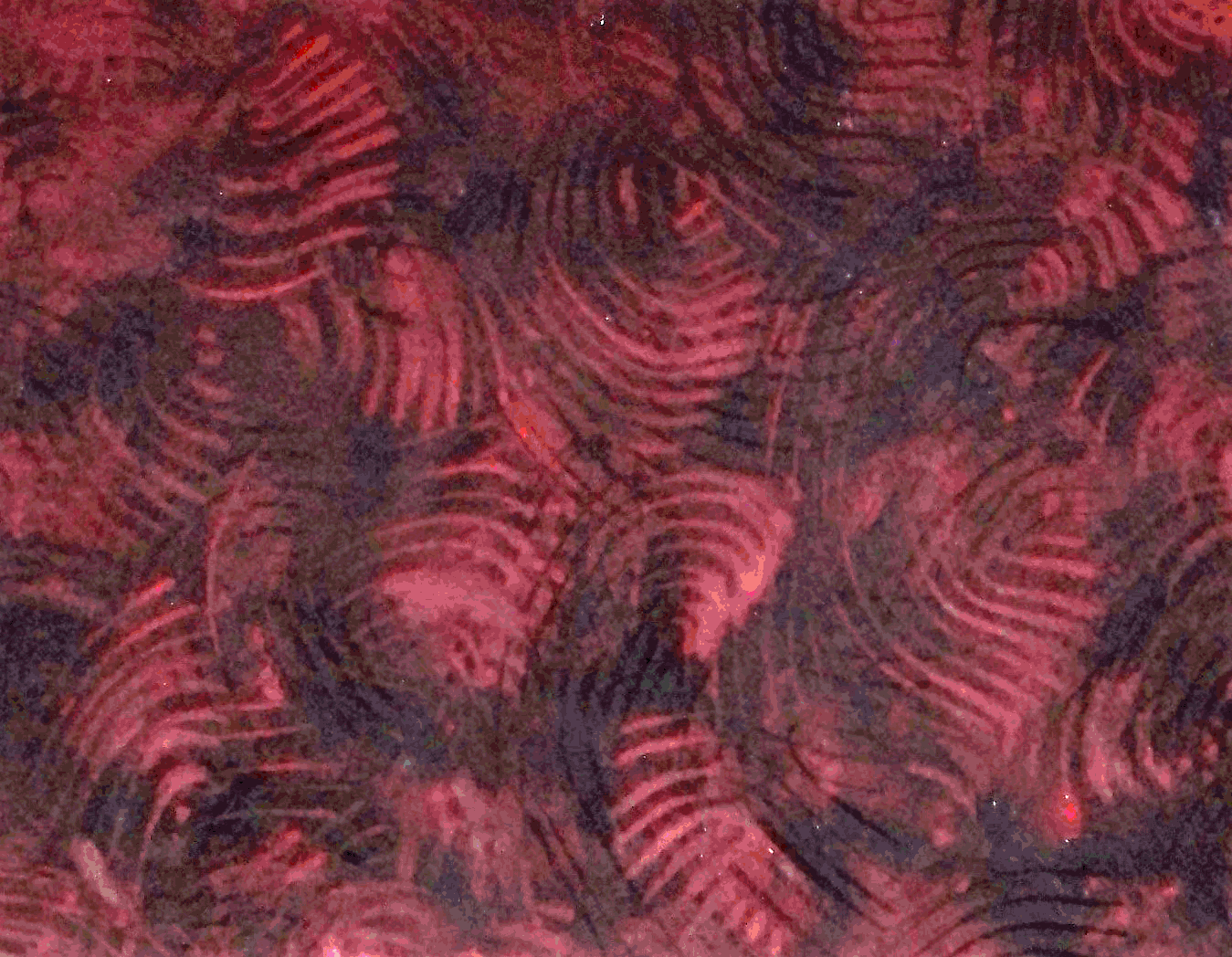 James Mourek copyrighted watercolor-2