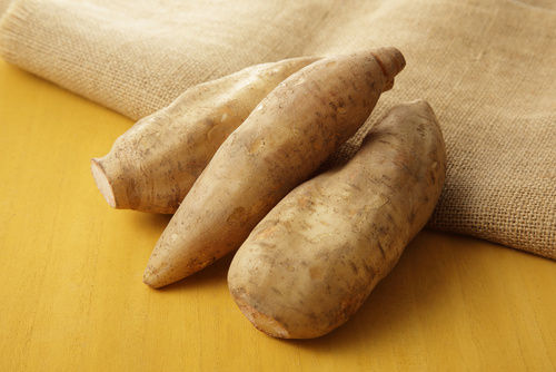 Batata Yacon Orgânica: O Aliado Natural Para Saúde e Bem-Estar