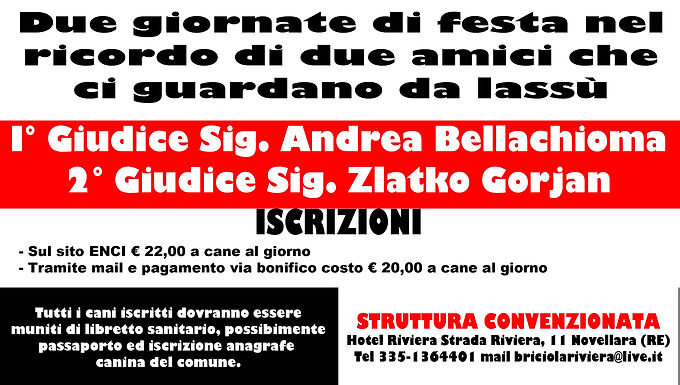 Due gare Nazionali di Agility Dog