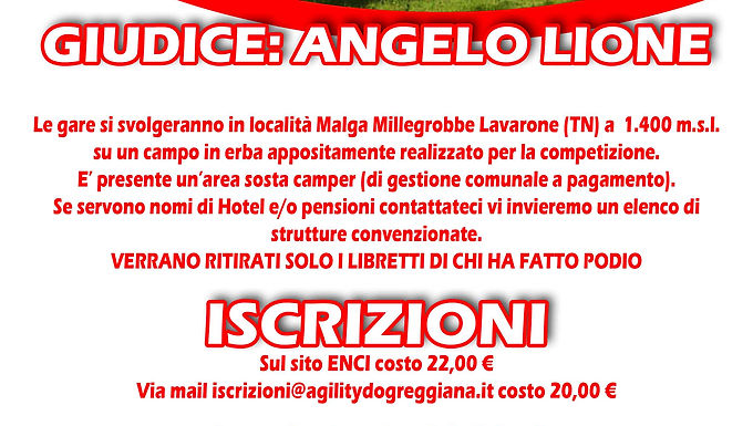 Gare di Agility in Trentino