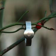 ring bandarole zimti.JPG