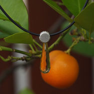 mono rippe mit citrin pampel fac..jpg