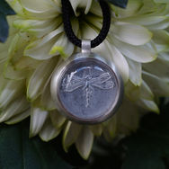 medaillon libelle.JPG