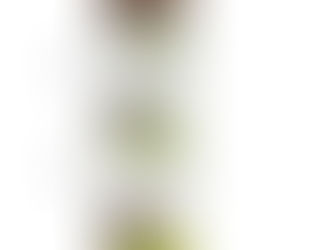 Milk Quality record April 2019