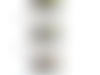 Milk quality record July 2019