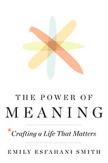 The Power of Meaning Book Cover. Clicking on the image opens to Google Web Search for the book.