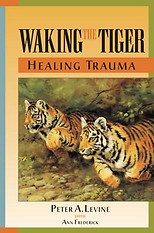 Waking the Tiger Book Cover. Clicking on the image opens to Google Web Search for the book.