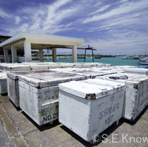 1.茶花漁港荷下ろし場.JPG