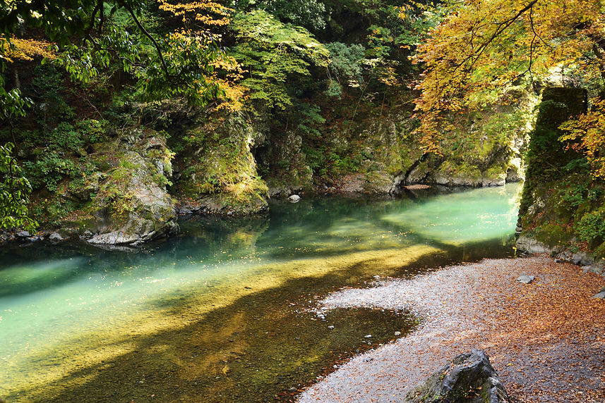 DSC_3202_00001.jpg