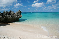 5.B&G海洋センター前ビーチ.JPG