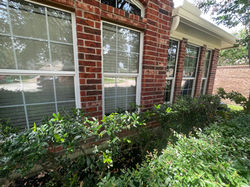 Window cleaning (After)