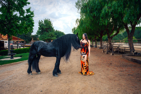 Brunette woman in tiger-print gown standing next to a majestic black Friesian horse at a Southern California ranch birthday photoshoot