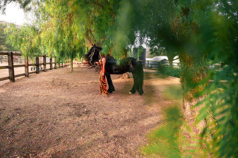 Smiling woman in tiger-face gown posing next to a black Friesian horse during a luxury Murrieta birthday shoot