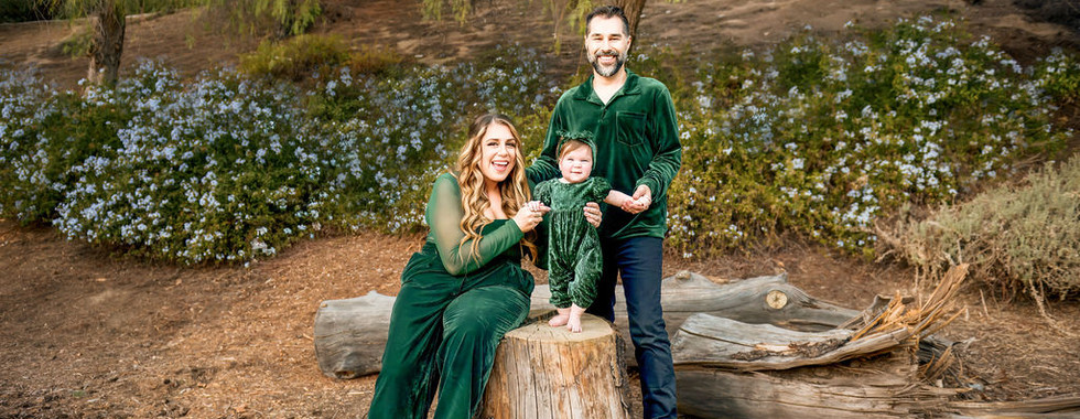 Family wearing green velvet poses with a child on a tree stump in a park. Background of trees and flowers. Smiling, joyful mood.