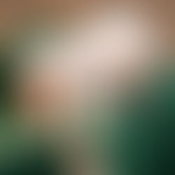 Family wearing green Santa hats and outfits, smiling in a park. The mood is festive and joyful, with brown leaves on the ground.