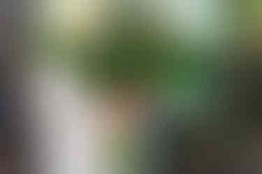 Bride holds a bouquet of white flowers with a photo charm and engraved heart locket. She wears a detailed white dress, creating an elegant mood.