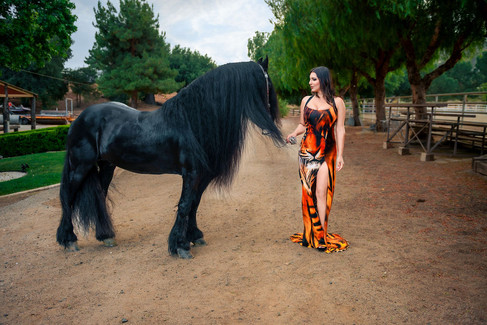 Woman in tiger-face gown making eye contact with a black Friesian horse during an elegant birthday portrait session at a Murrieta ranch