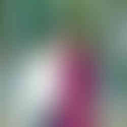 Heartwarming family portrait taken during golden hour with rich autumn colors behind them