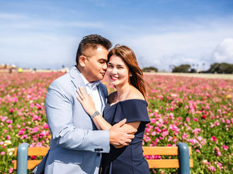 A Love Story at the Carlsbad Flower Fields