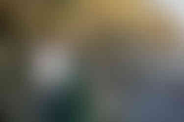 Family with a child stands on a rocky beach. Man in white, woman in green dress. Cliff in background. Calm and serene setting.