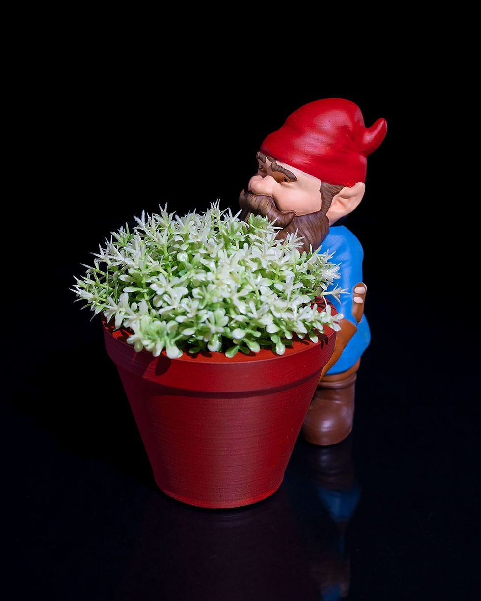 Gnome with succulent plant