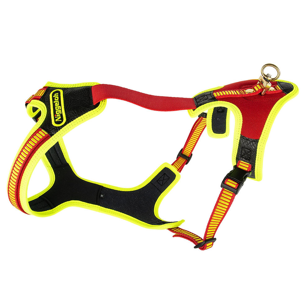 Thumbnail: Niggeloh Dog Harness Follow “TRAIL”(MEDIUM)