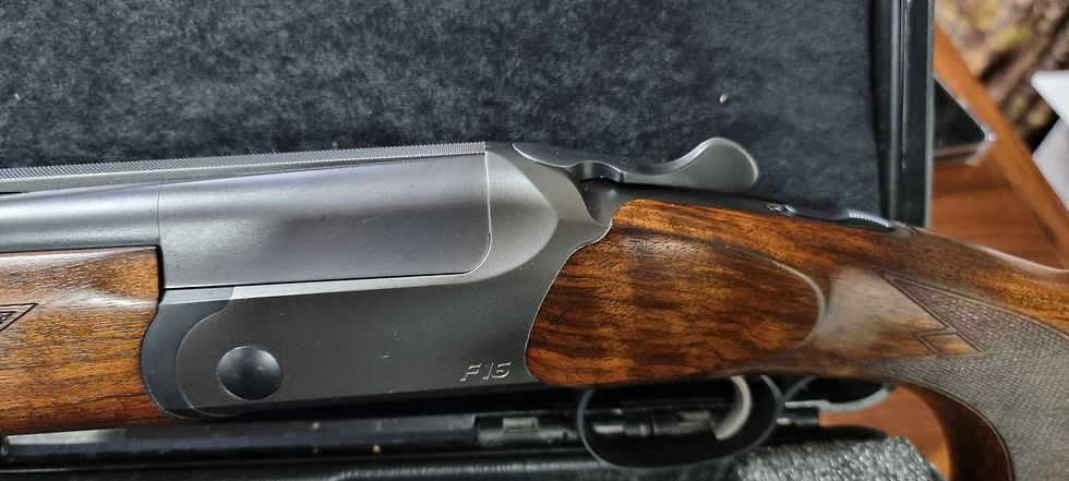 Thumbnail: Blaser F16 Sporting 30"Ladies