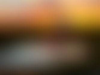 Minimizing Urban Sprawl- Preserving Pastures & Preventing Sprawl in Ward 5