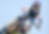 harrington 28_edited.png