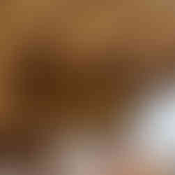 Tombstone, AZ 3/9/26