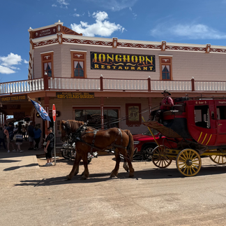 Tombstone, AZ 3/9/26