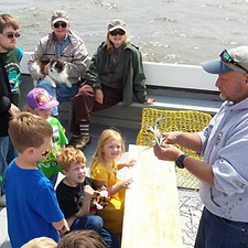 FIsh the Bay3.jpg