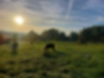 20221005_081542.jpg