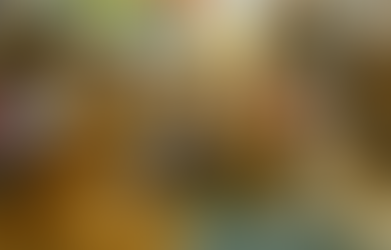 Warum Wellness auch für Tiere wichtig ist